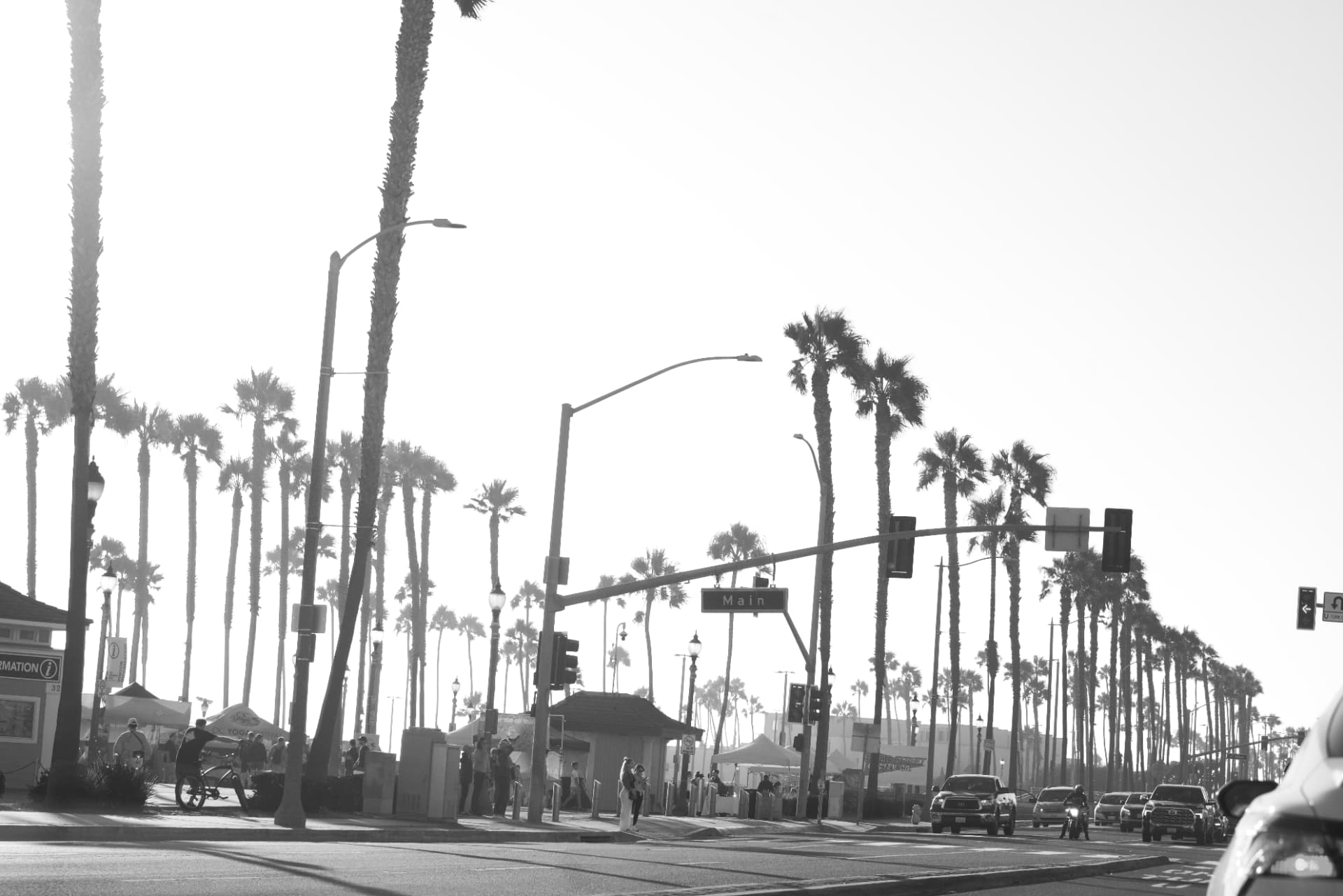 Work — Coastlines