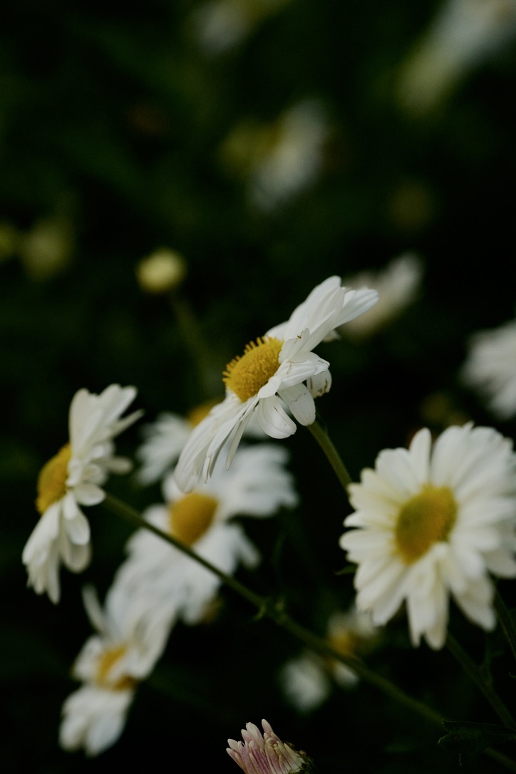 Work — Quiet Things